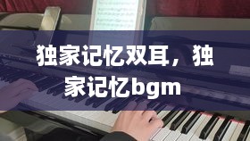 独家记忆双耳，独家记忆bgm 