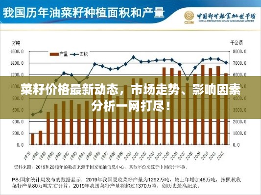 菜籽价格最新动态，市场走势、影响因素分析一网打尽！