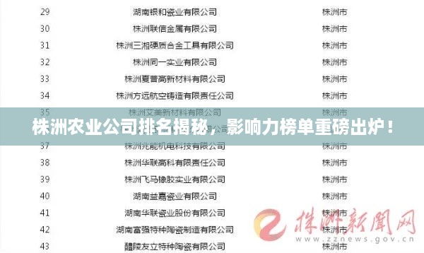 株洲农业公司排名揭秘，影响力榜单重磅出炉！