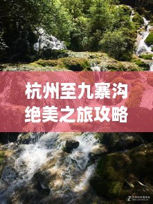 杭州至九寨沟绝美之旅攻略