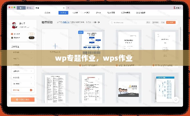 wp专题作业，wps作业 