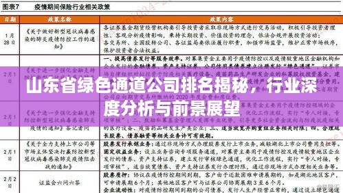 山东省绿色通道公司排名揭秘，行业深度分析与前景展望