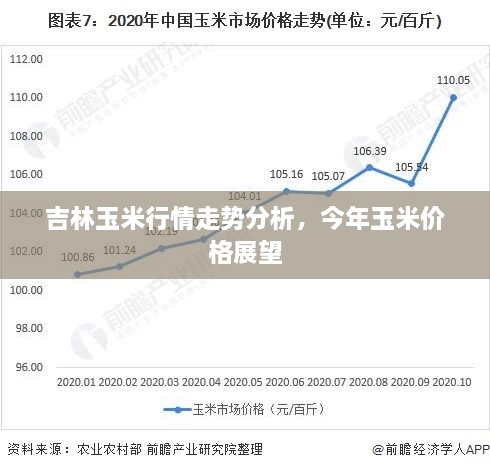 吉林玉米行情走势分析，今年玉米价格展望