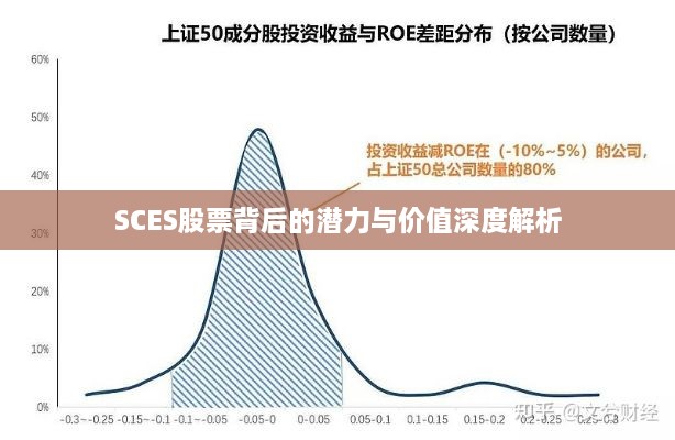 SCES股票背后的潜力与价值深度解析