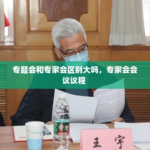 专题会和专家会区别大吗，专家会会议议程 