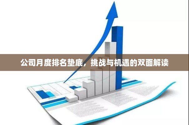 公司月度排名垫底，挑战与机遇的双面解读