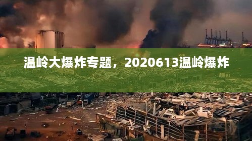 温岭大爆炸专题，2020613温岭爆炸 