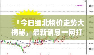 「今日缅北物价走势大揭秘，最新消息一网打尽！」