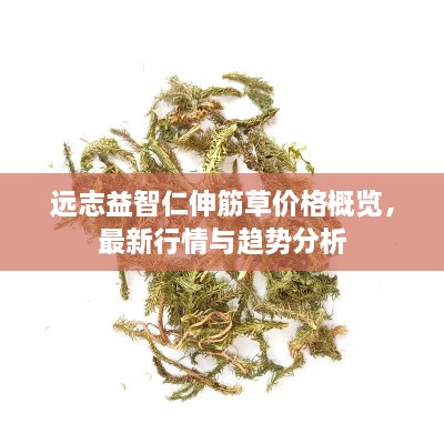 远志益智仁伸筋草价格概览，最新行情与趋势分析