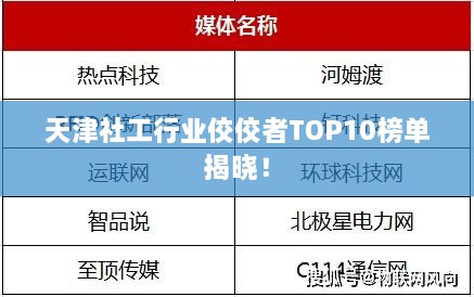 天津社工行业佼佼者TOP10榜单揭晓！