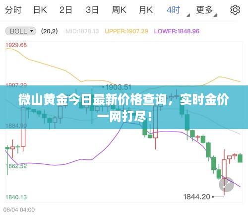 微山黄金今日最新价格查询，实时金价一网打尽！