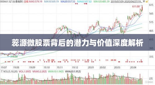 蕊源微股票背后的潜力与价值深度解析