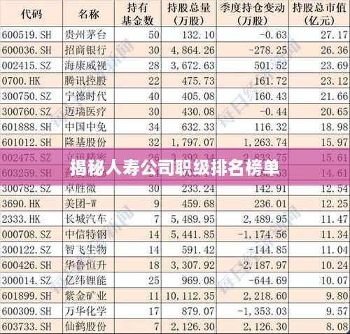 揭秘人寿公司职级排名榜单