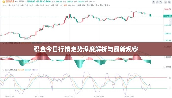 积金今日行情走势深度解析与最新观察