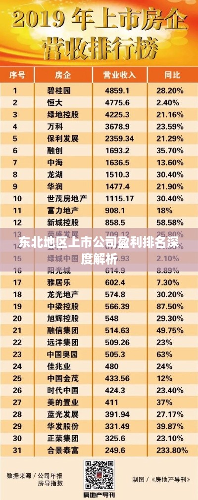 东北地区上市公司盈利排名深度解析