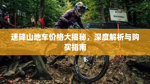 速降山地车价格大揭秘，深度解析与购买指南