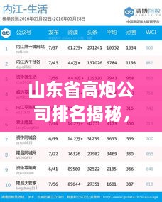 山东省高炮公司排名揭秘，影响力与实力并存！