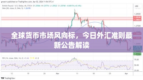 全球货币市场风向标，今日外汇准则最新公告解读