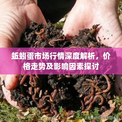 蚯蚓蛋市场行情深度解析，价格走势及影响因素探讨