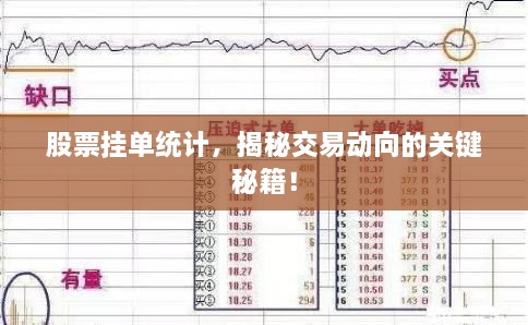 股票挂单统计，揭秘交易动向的关键秘籍！