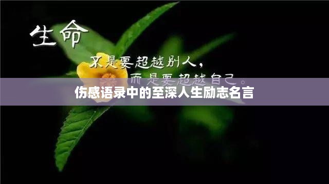 伤感语录中的至深人生励志名言