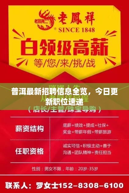 普洱最新招聘信息全览，今日更新职位速递