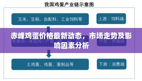 赤峰鸡蛋价格最新动态，市场走势及影响因素分析