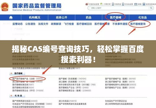 揭秘CAS编号查询技巧，轻松掌握百度搜索利器！