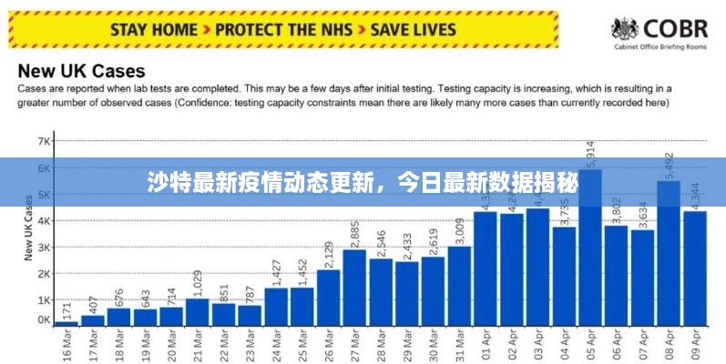 沙特最新疫情动态更新，今日最新数据揭秘