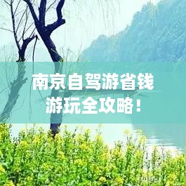 南京自驾游省钱游玩全攻略！