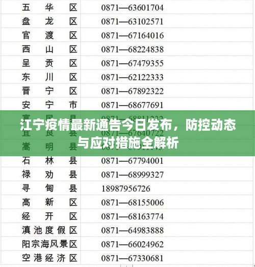 江宁疫情最新通告今日发布，防控动态与应对措施全解析