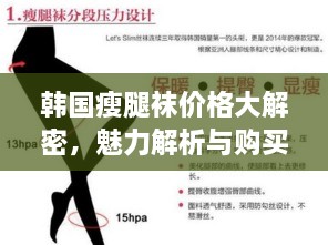 韩国瘦腿袜价格大解密，魅力解析与购买指南