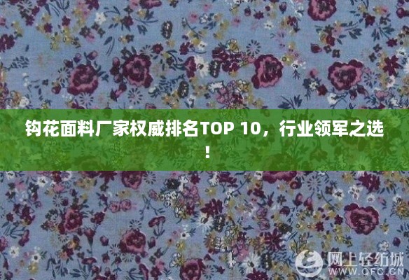 钩花面料厂家权威排名TOP 10，行业领军之选！