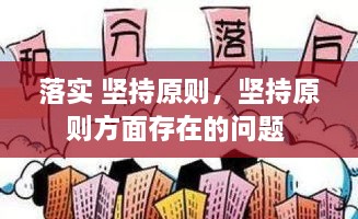 落实 坚持原则，坚持原则方面存在的问题 