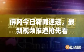 佛冈今日新闻速递，最新视频报道抢先看