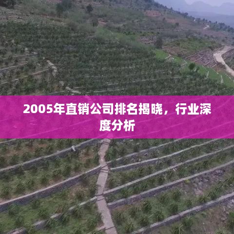 2005年直销公司排名揭晓，行业深度分析