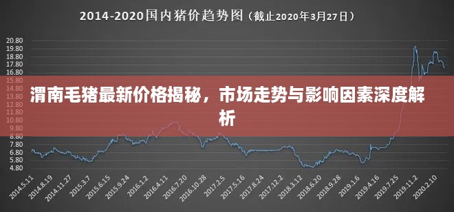 渭南毛猪最新价格揭秘，市场走势与影响因素深度解析