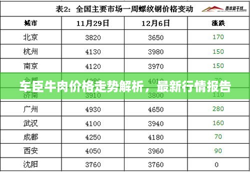 车臣牛肉价格走势解析，最新行情报告