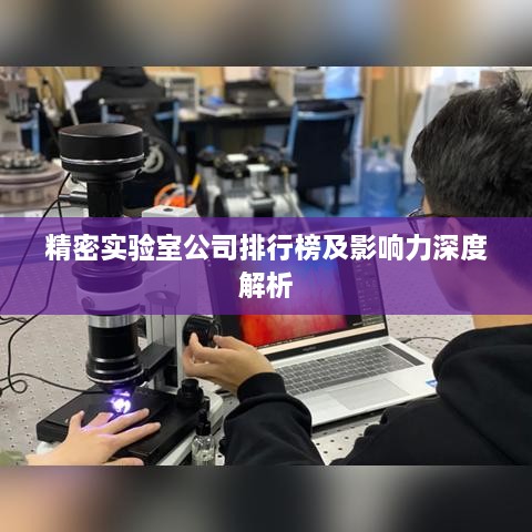 精密实验室公司排行榜及影响力深度解析