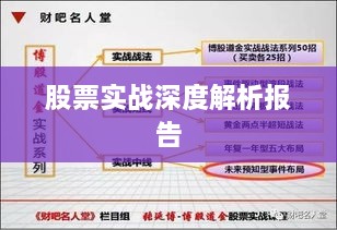 股票实战深度解析报告