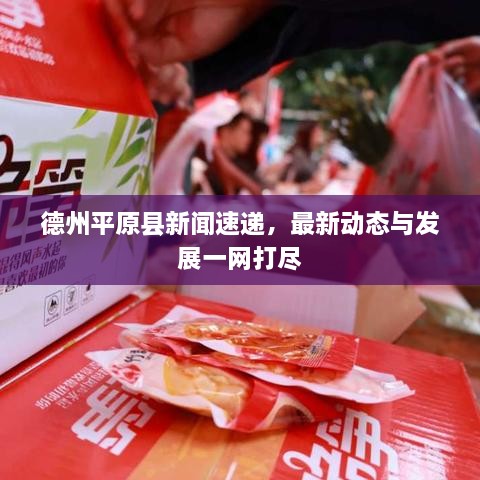 德州平原县新闻速递，最新动态与发展一网打尽