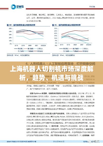 2025年1月29日 第4页