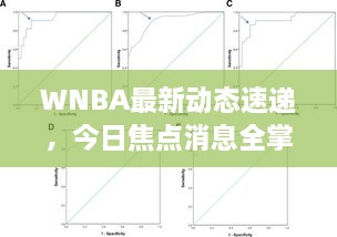 WNBA最新动态速递，今日焦点消息全掌握！