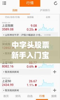 中字头股票新手入门宝典，轻松掌握投资技巧！
