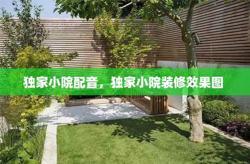 独家小院配音，独家小院装修效果图 