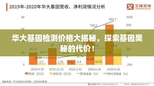 华大基因检测价格大揭秘，探索基因奥秘的代价！