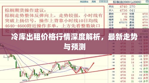 冷库出租价格行情深度解析，最新走势与预测