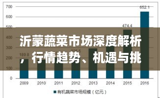 沂蒙蔬菜市场深度解析，行情趋势、机遇与挑战