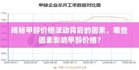 揭秘甲醇价格波动背后的因素，哪些因素影响甲醇价格？