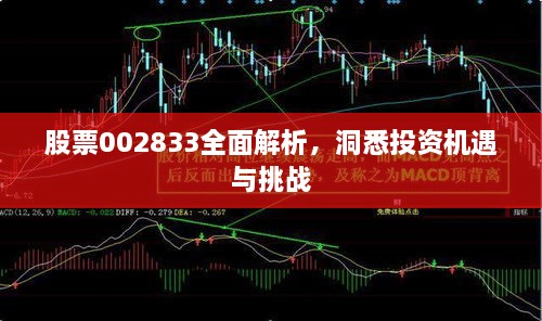 股票002833全面解析，洞悉投资机遇与挑战